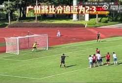 选手爆料假球视频大全下载,选手爆料视频大全下载解析